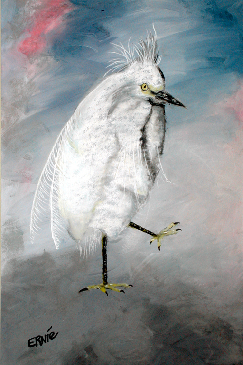 Wildlife - The Snowy Egret