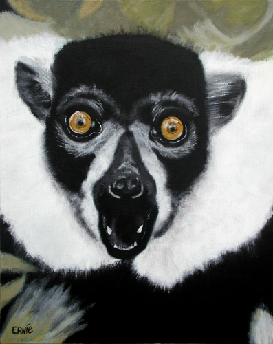 Nature - Ruffed Lemur